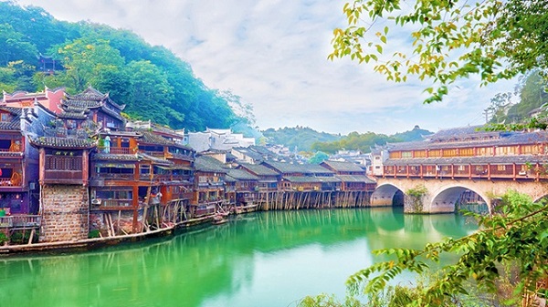 凤凰1.jpg