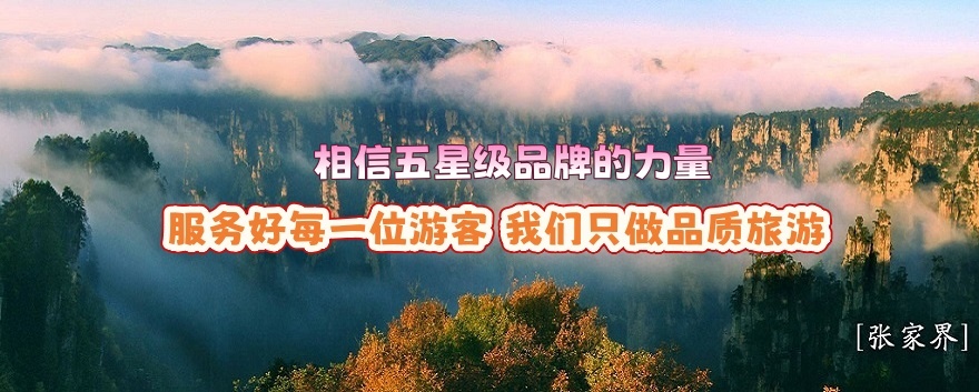张家界中国旅行社连续荣膺“五星级旅行社”