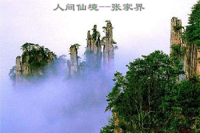 春天6 - 副本.jpg